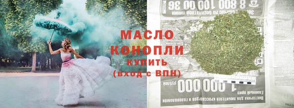 гидра Братск