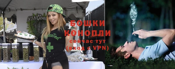 spice Магас