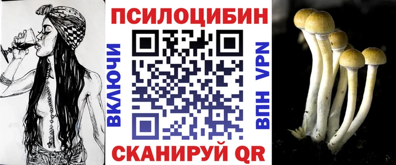 Галлюциногенные грибы Magic Shrooms  Химки 